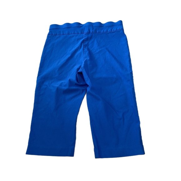 Alex & Olivia blue capris size 14 - Picture 2 of 3